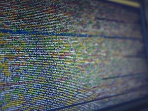 Decoding the Dark Web: What You Need to Know