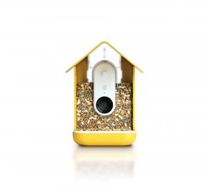 Shiny Gadget Of The Month: Bird Buddy