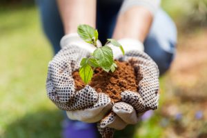 15 Urgent Greenhouse Tech Problems (And Exactly What to Do About Them)