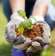 15 Urgent Greenhouse Tech Problems (And Exactly What to Do About Them)
